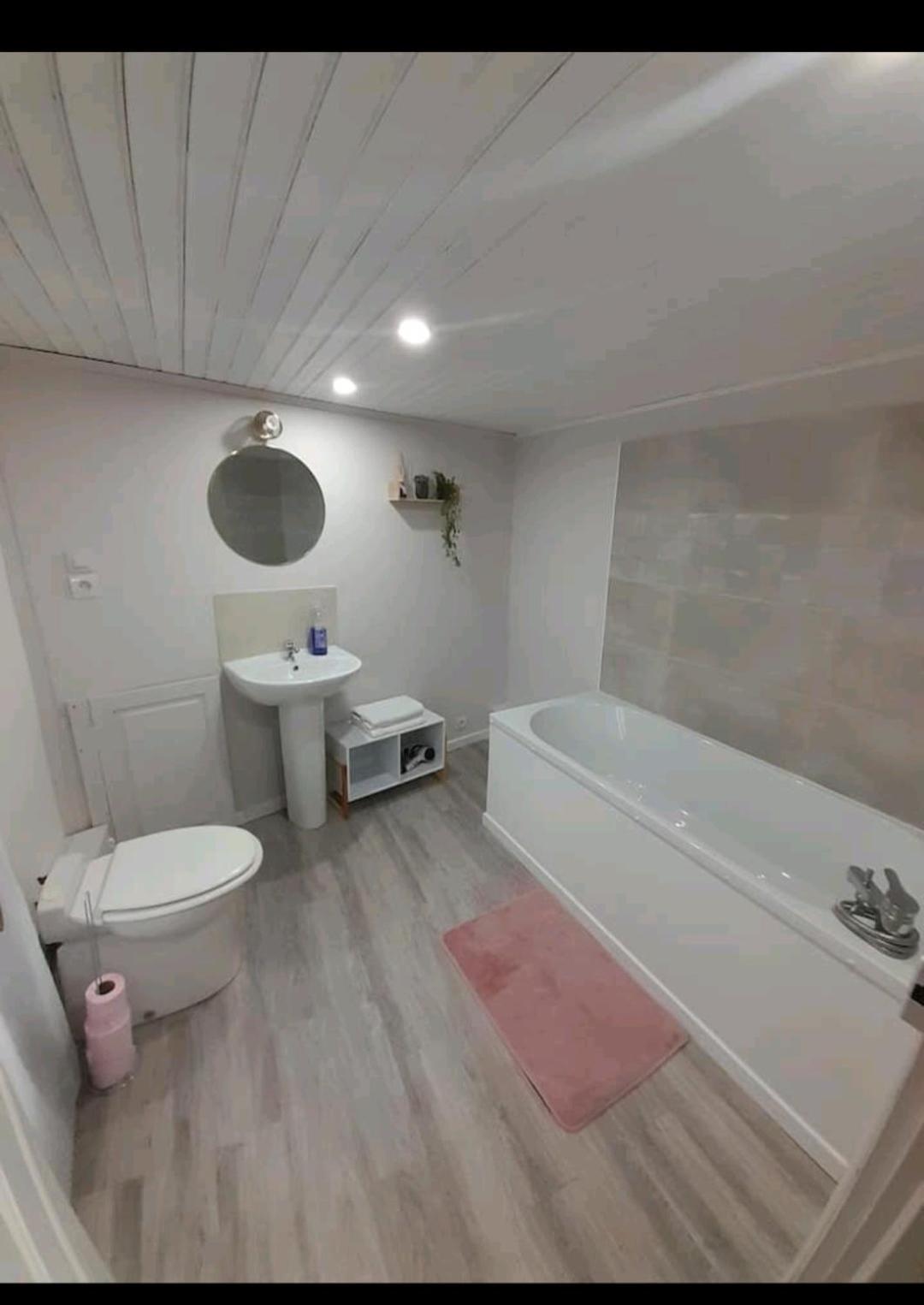 A Mammulejiu Apartman Thiers Kültér fotó